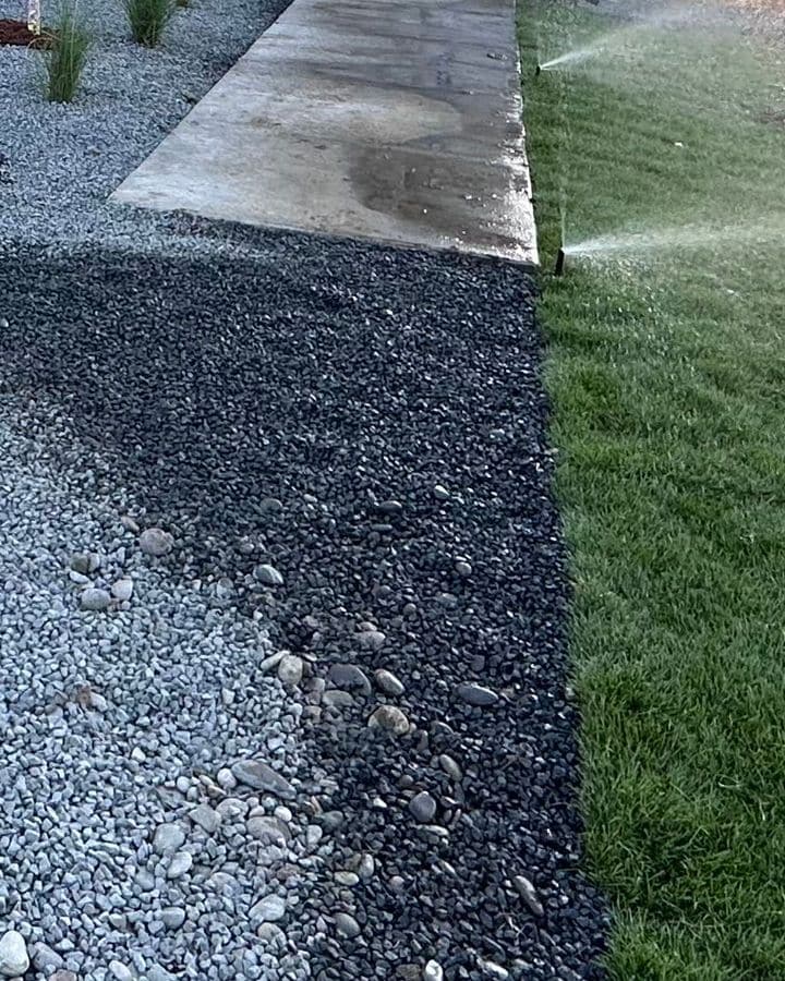 Pop-up sprinklers watering new sod beside a gravel bed and a concrete walk.