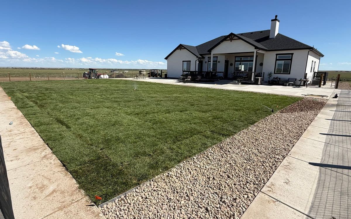 The rear of a new home with a wide triangle of new sod, a rock border and concrete walks.